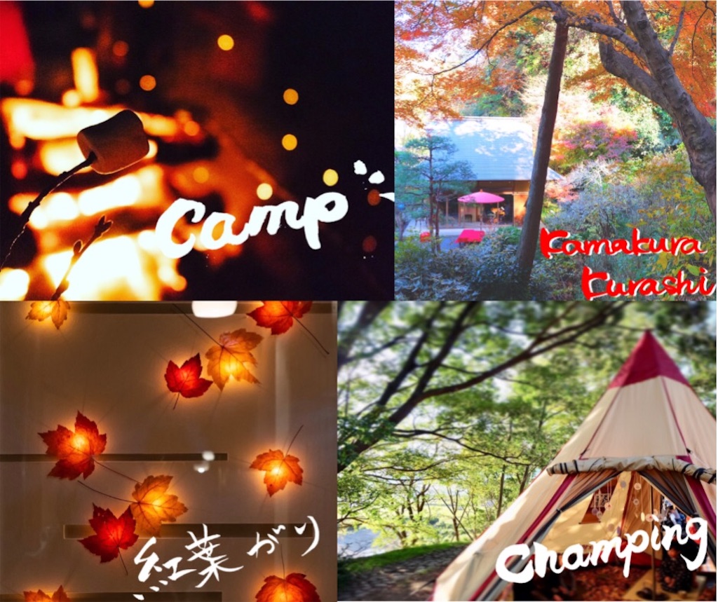 f:id:kira_kira_boshi:20201231235125j:image