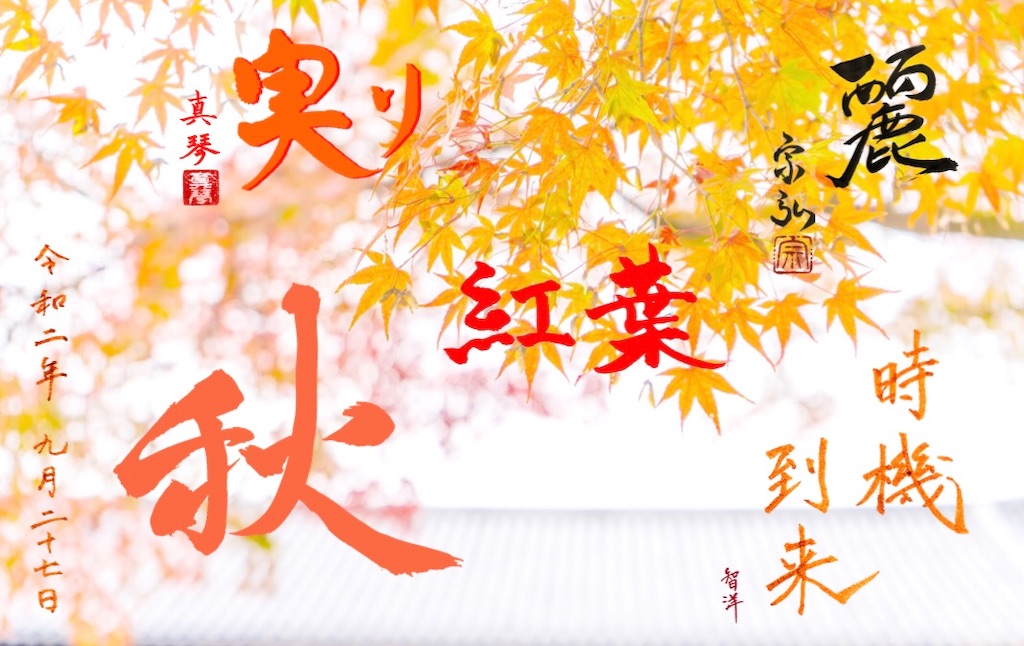 f:id:kira_kira_boshi:20201231235405j:image