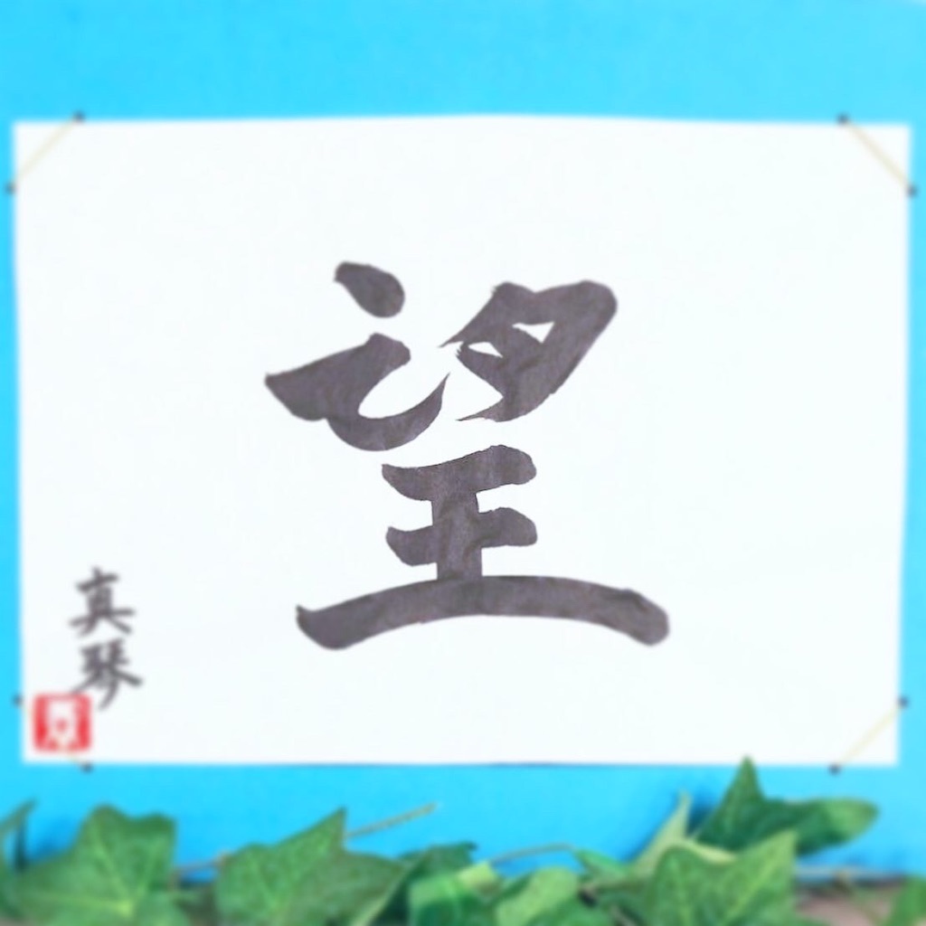 f:id:kira_kira_boshi:20201231235432j:image