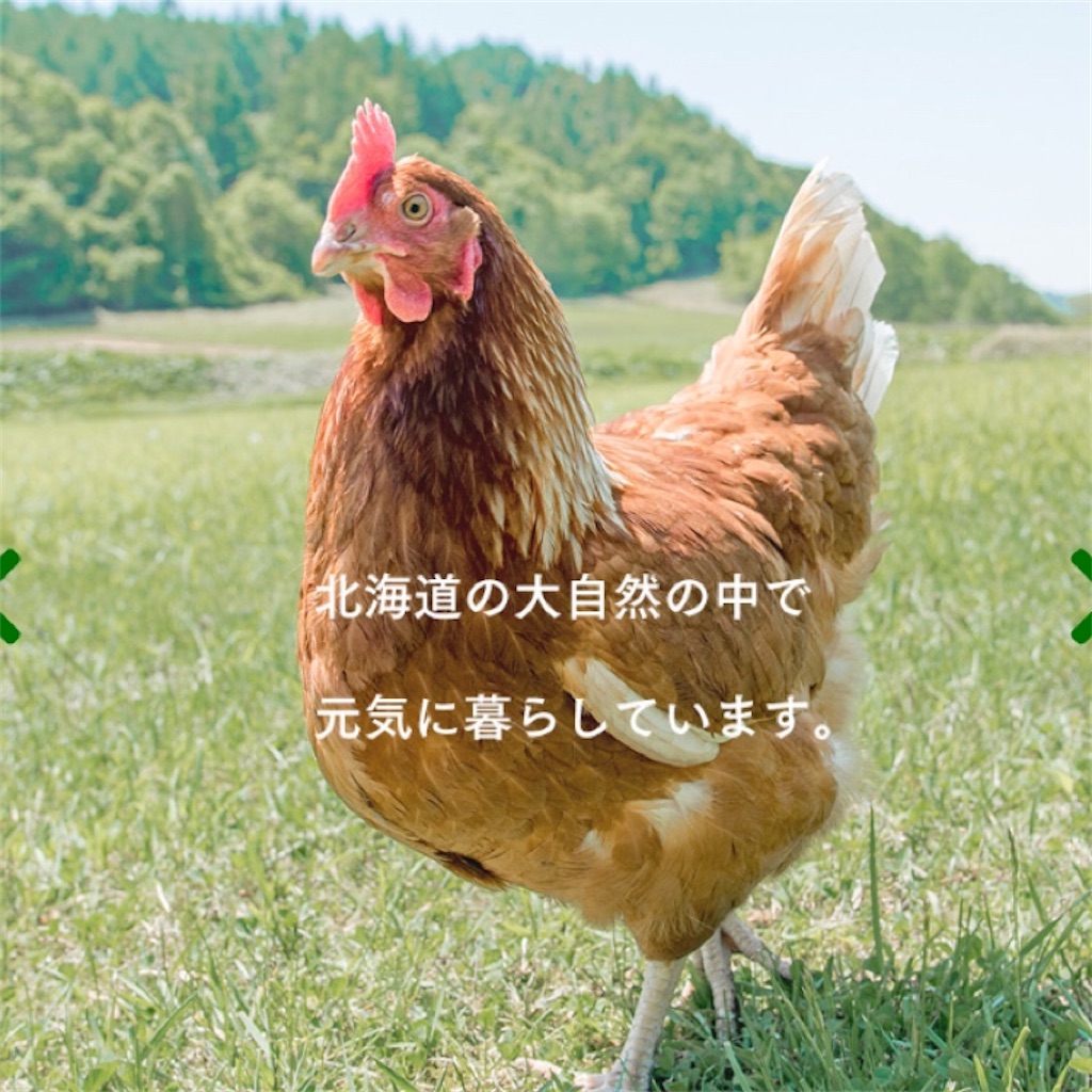 f:id:kirakabu:20200720151036j:image f:id:kirakabu:20200720151036j:image