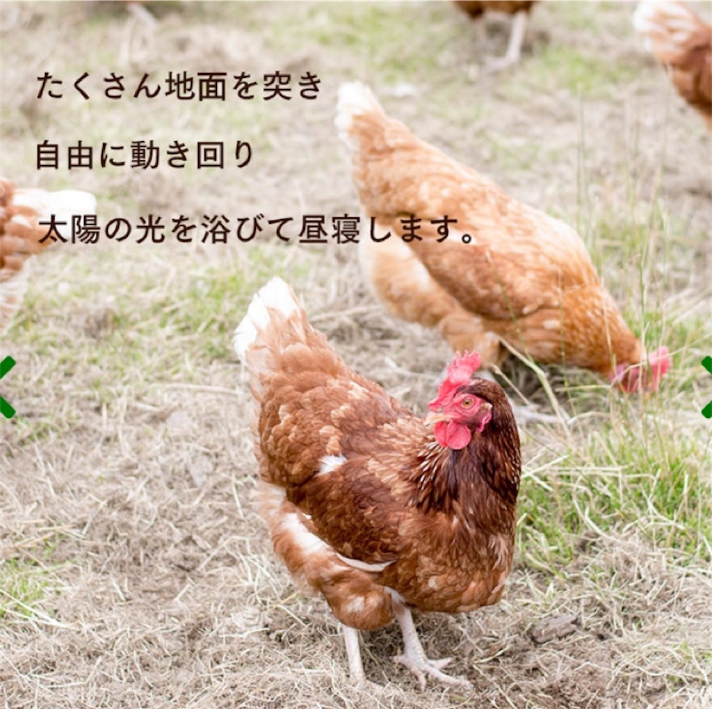 f:id:kirakabu:20200720151108j:image f:id:kirakabu:20200720151108j:image