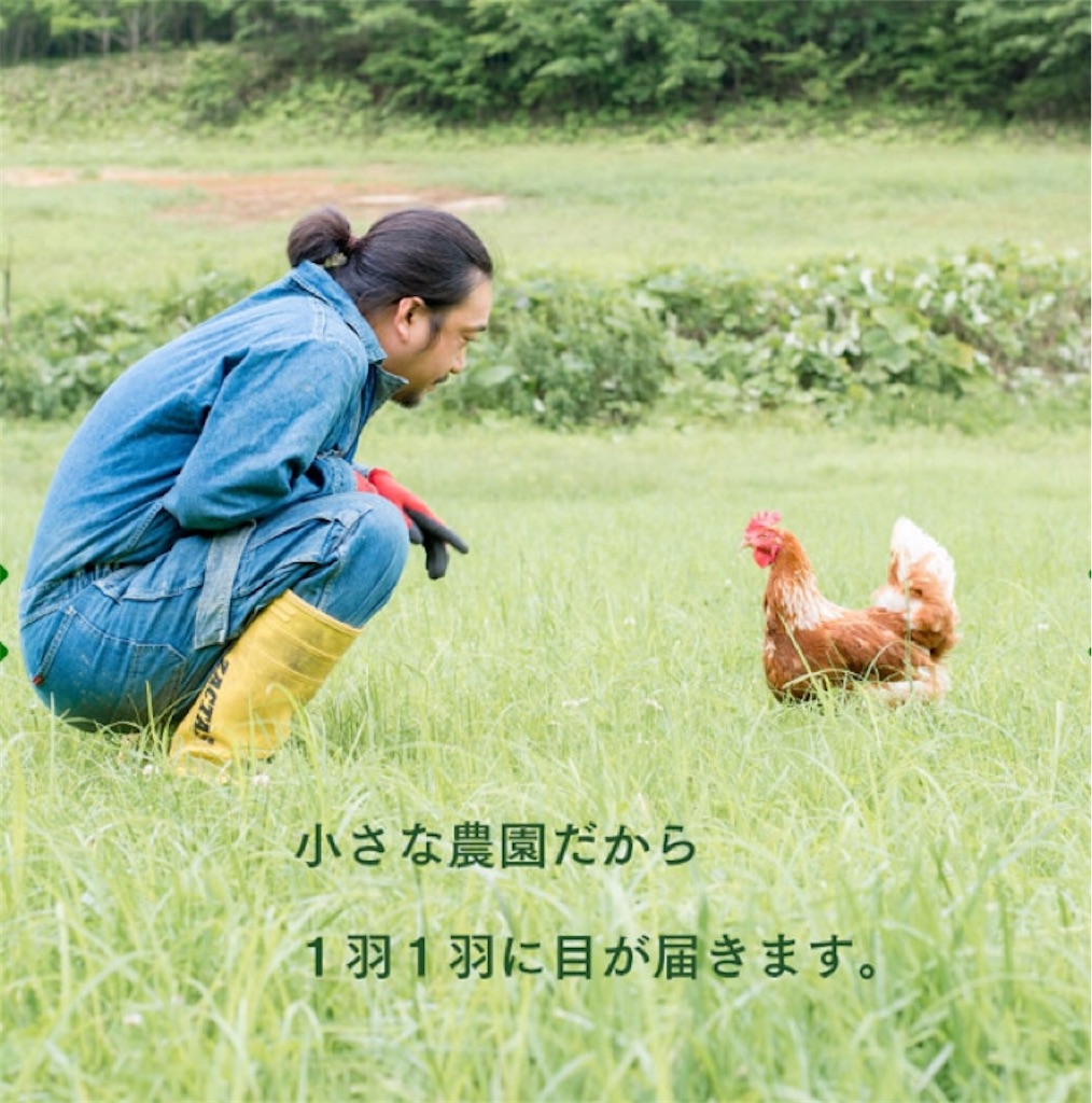 f:id:kirakabu:20200720151112j:image f:id:kirakabu:20200720151112j:image