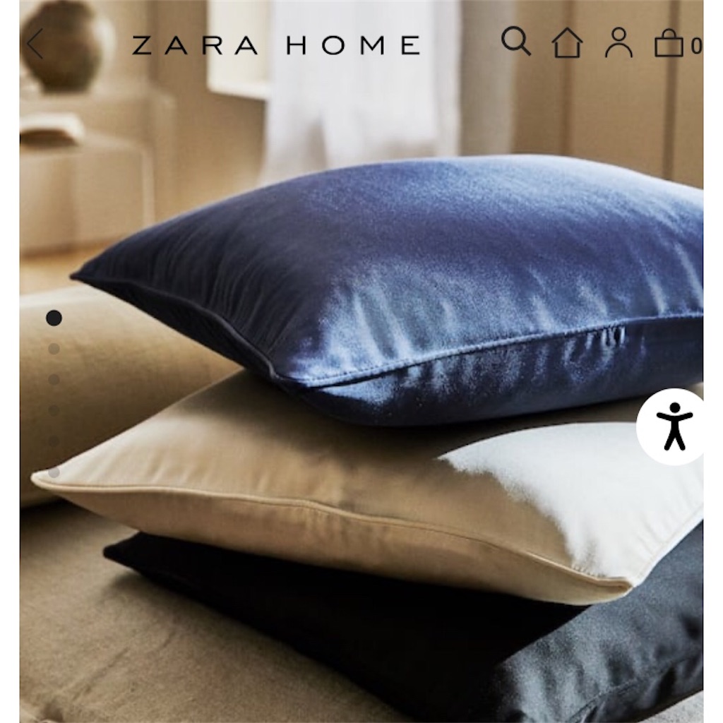 Zaraホーム購入品 Kira Kabu