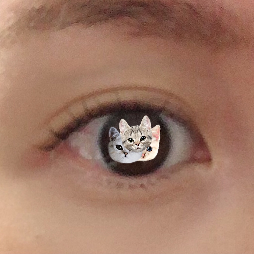 f:id:kirakabu:20201007202401j:image f:id:kirakabu:20201007202401j:image