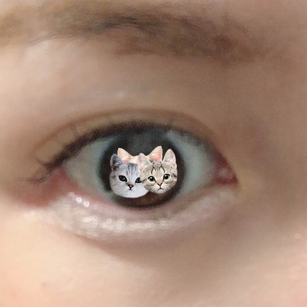 f:id:kirakabu:20201007202405j:image f:id:kirakabu:20201007202405j:image
