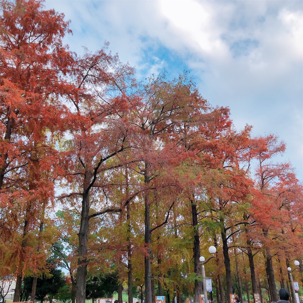 f:id:kirakabu:20201126192650j:image f:id:kirakabu:20201126192650j:image