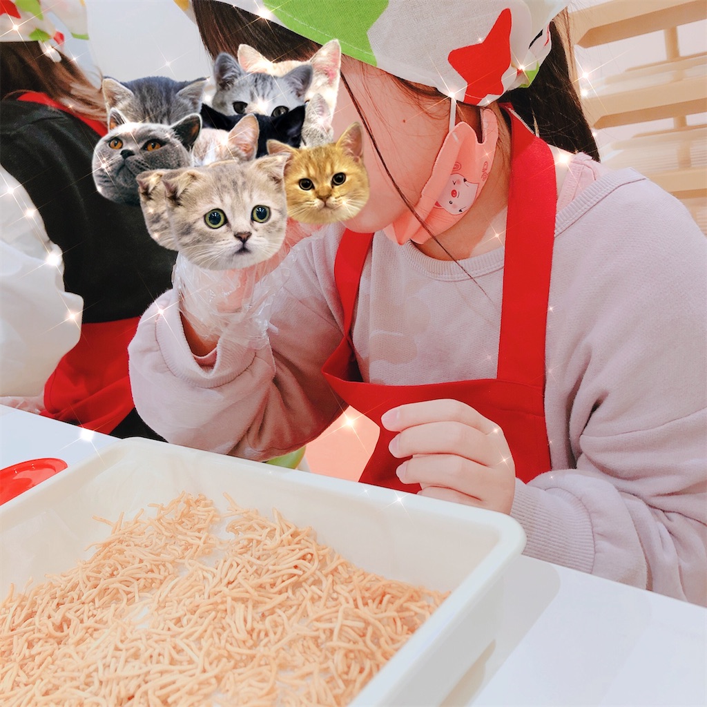 f:id:kirakabu:20201208154129j:image f:id:kirakabu:20201208154129j:image