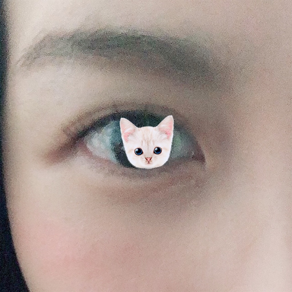 f:id:kirakabu:20201226182400j:image f:id:kirakabu:20201226182400j:image