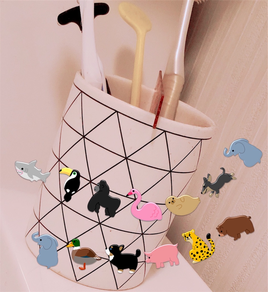 f:id:kirakabu:20210123190208j:image f:id:kirakabu:20210123190208j:image