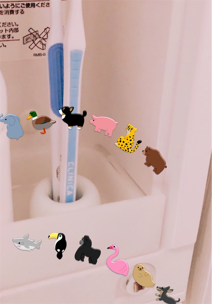 f:id:kirakabu:20210123190224j:image f:id:kirakabu:20210123190224j:image
