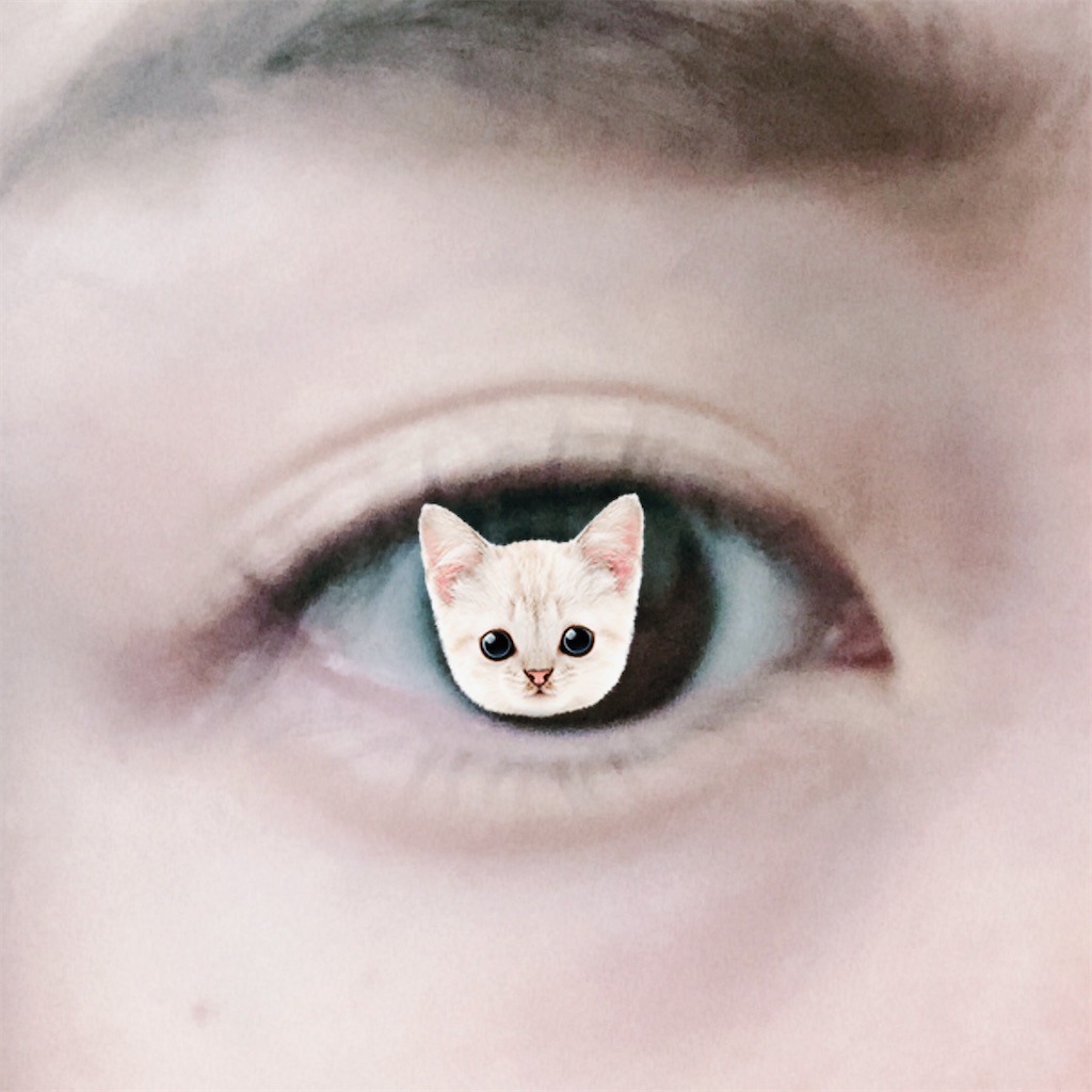 f:id:kirakabu:20210124210956j:image f:id:kirakabu:20210124210956j:image