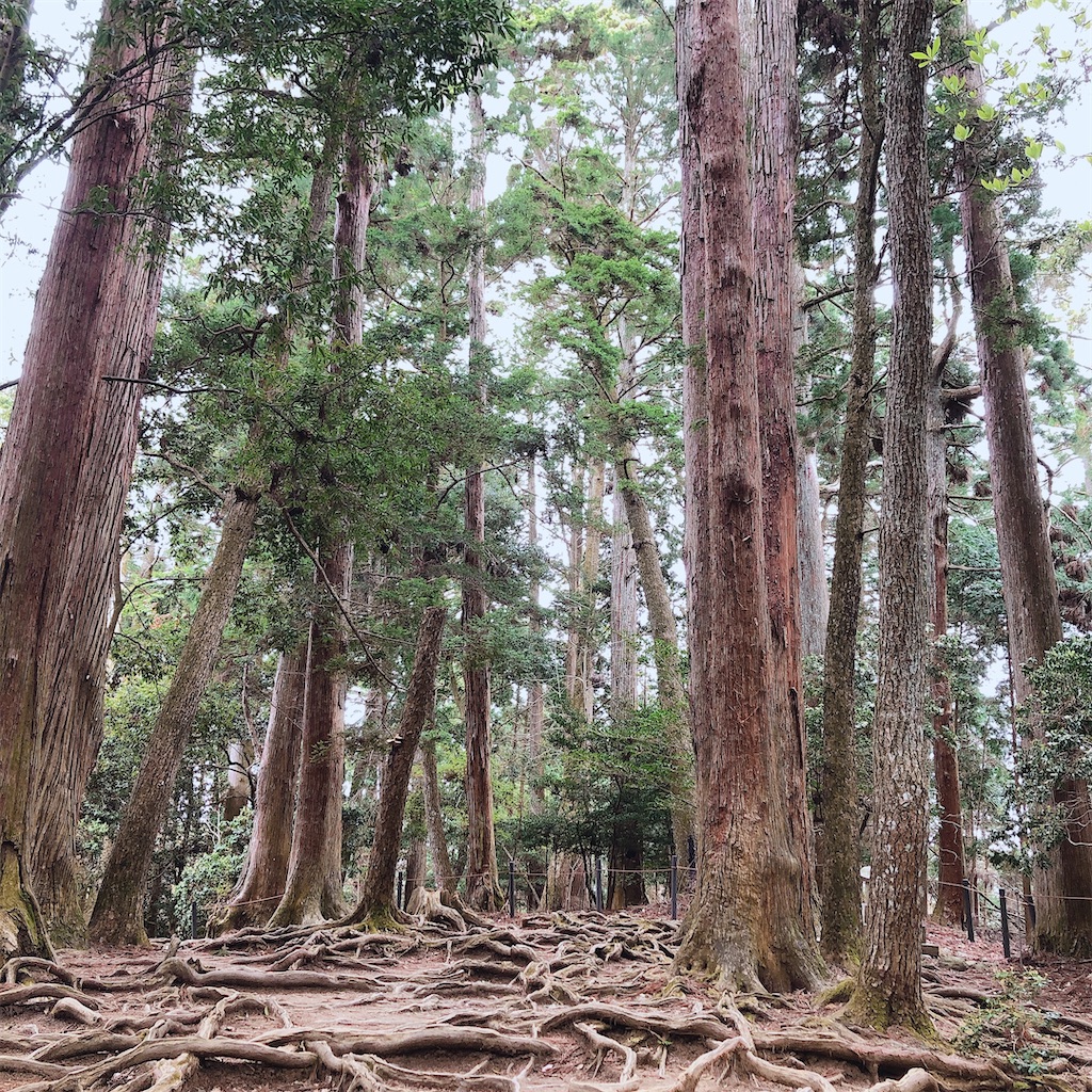 f:id:kirakabu:20210404174640j:image f:id:kirakabu:20210404174640j:image