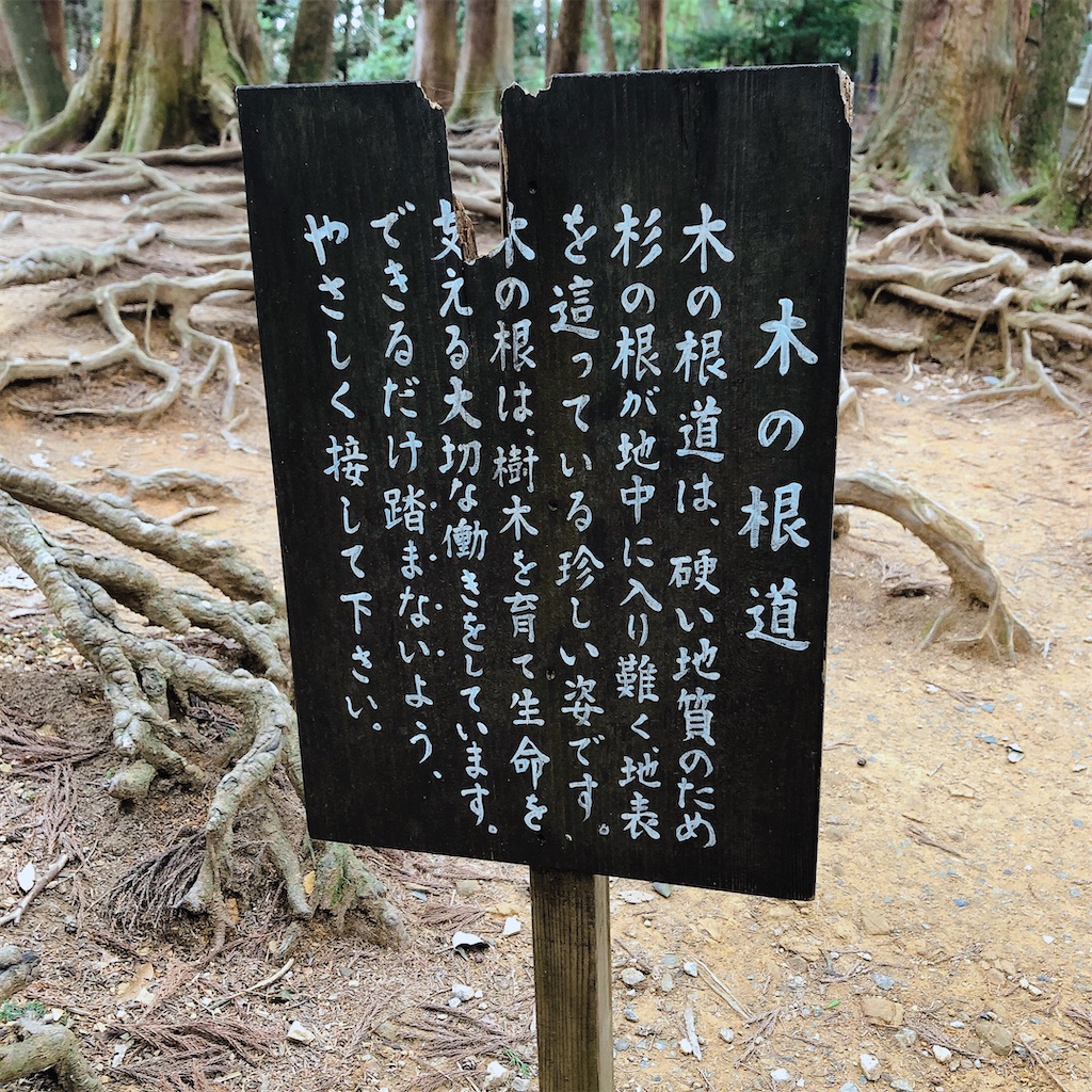 f:id:kirakabu:20210404174706j:image f:id:kirakabu:20210404174706j:image