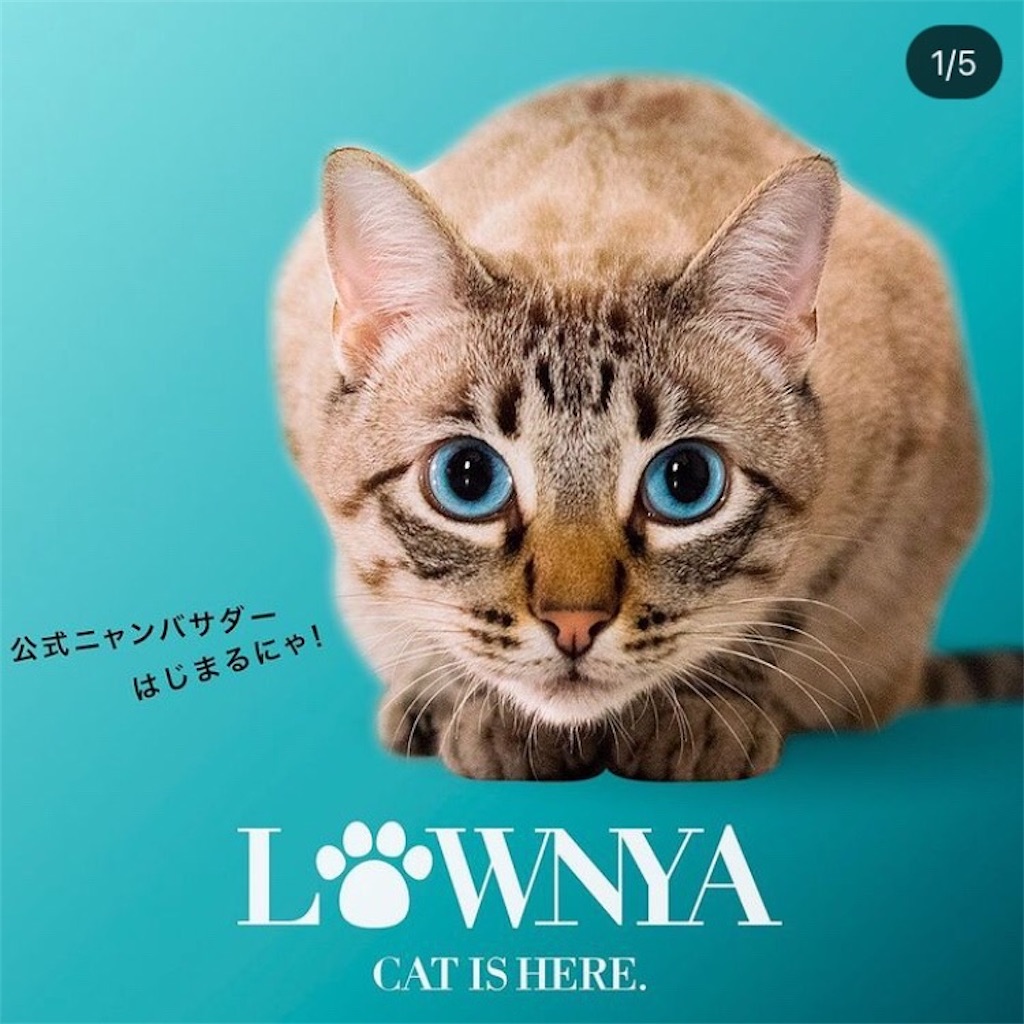 f:id:kirakabu:20210606160519j:image f:id:kirakabu:20210606160519j:image