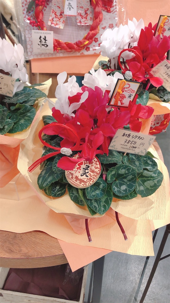 f:id:kirakabu:20220102195753j:image f:id:kirakabu:20220102195753j:image