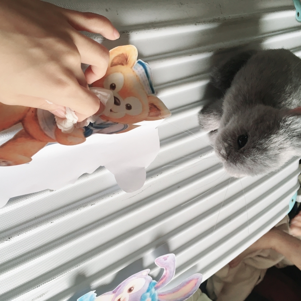 f:id:kirakilife:20180714025915j:plain