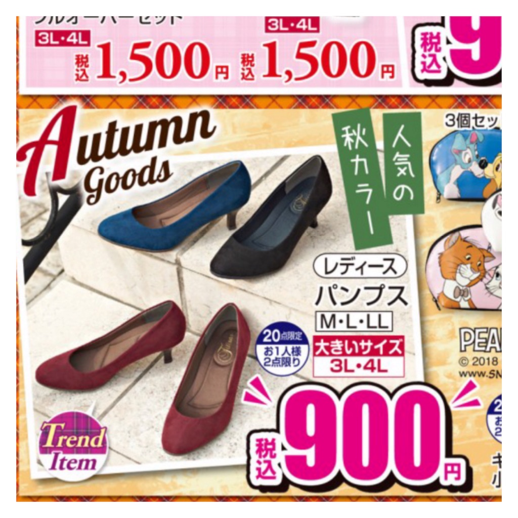 f:id:kirakira-pink:20180920120938j:image