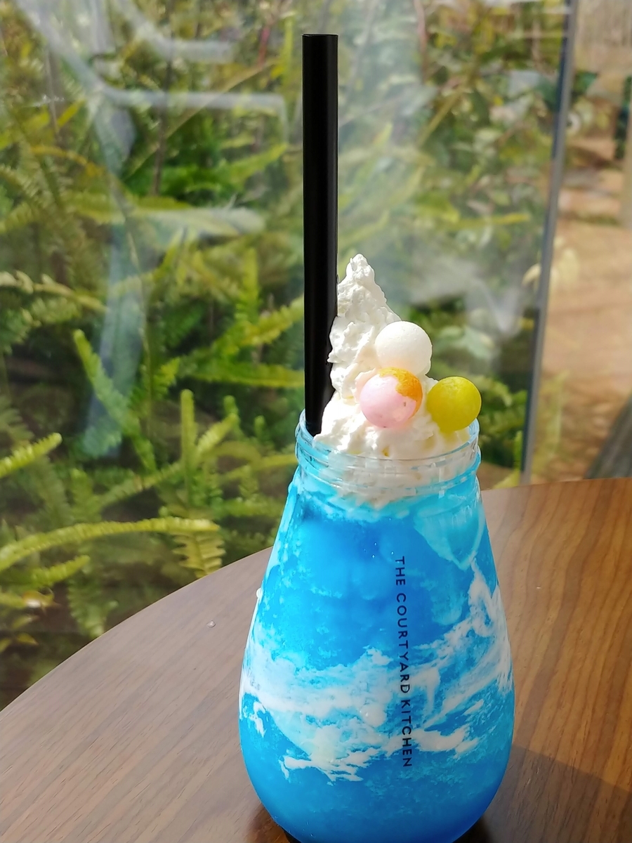 f:id:kirakirakaori:20200322215619j:plain f:id:kirakirakaori:20200322215619j:plain