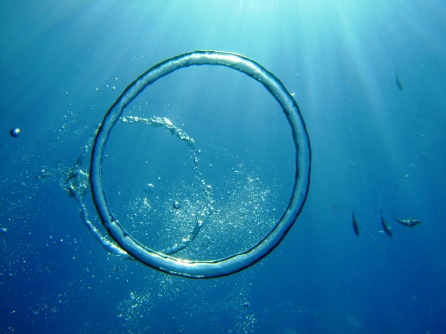 毎日を後悔しないように生きるためにやっておきたい自分自身の10の習慣 影響の輪をひろげる 私がわたしであるために