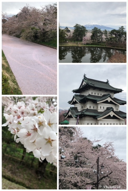 f:id:kirakiralion:20190501124502j:plain f:id:kirakiralion:20190501124502j:plain