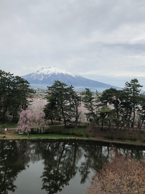 f:id:kirakiralion:20190501124806j:plain f:id:kirakiralion:20190501124806j:plain