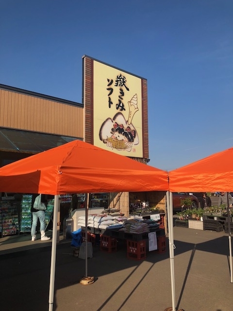 f:id:kirakiralion:20190501125146j:plain f:id:kirakiralion:20190501125146j:plain