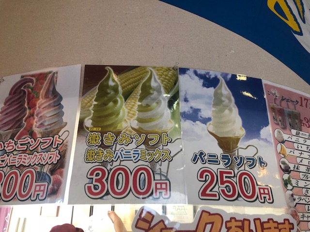 f:id:kirakiralion:20190501125229j:plain f:id:kirakiralion:20190501125229j:plain