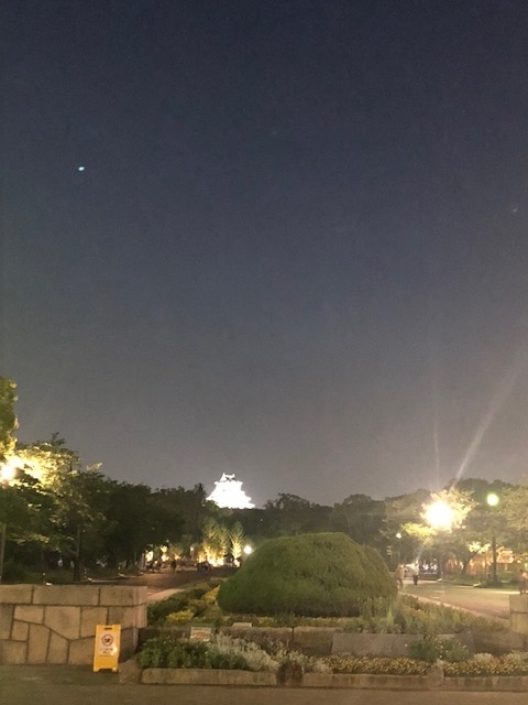 f:id:kirakiralion:20190611194502j:plain f:id:kirakiralion:20190611194502j:plain