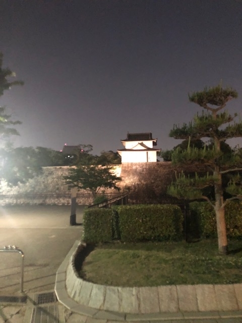 f:id:kirakiralion:20190611194530j:plain f:id:kirakiralion:20190611194530j:plain