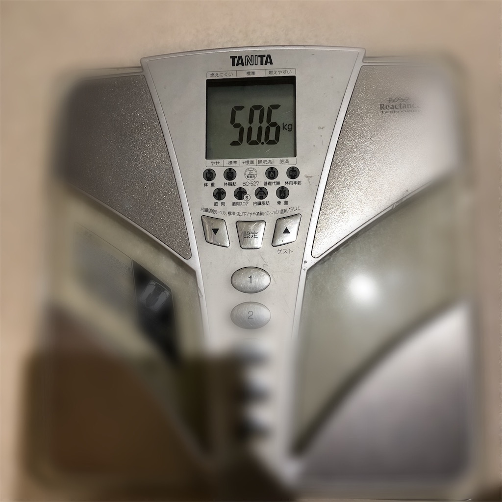 f:id:kirakirapanda:20190429154615j:image
