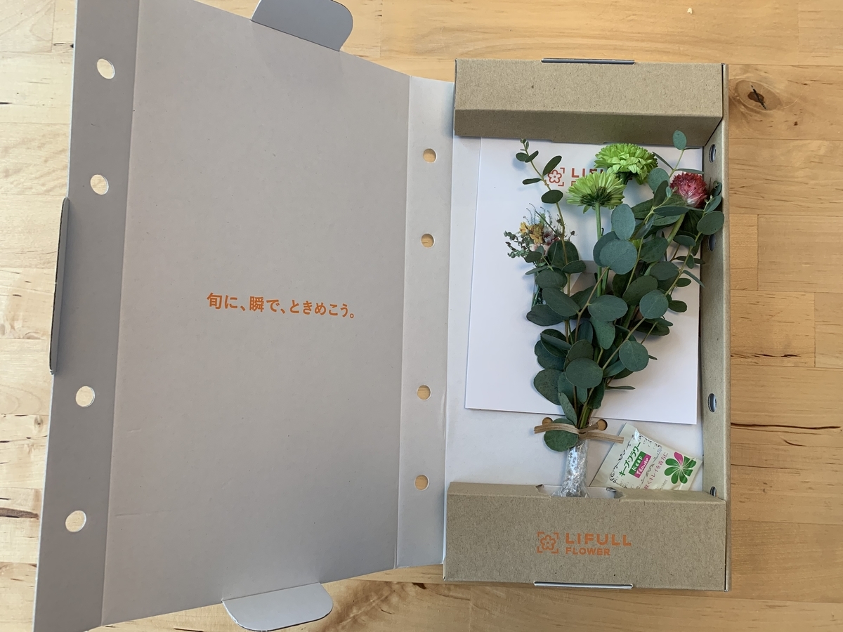 f:id:kirakirapark:20191118101049j:plain
