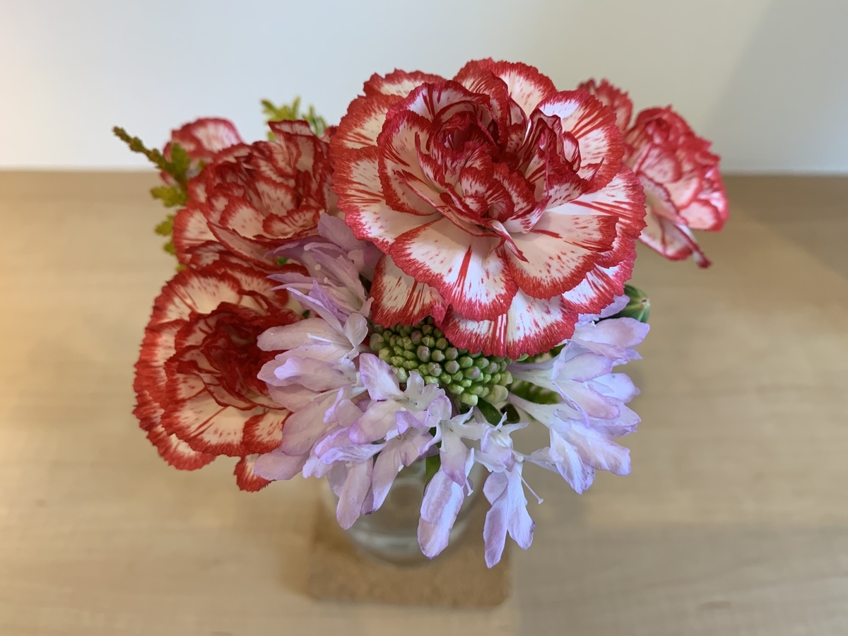 f:id:kirakirapark:20191231084220j:plain