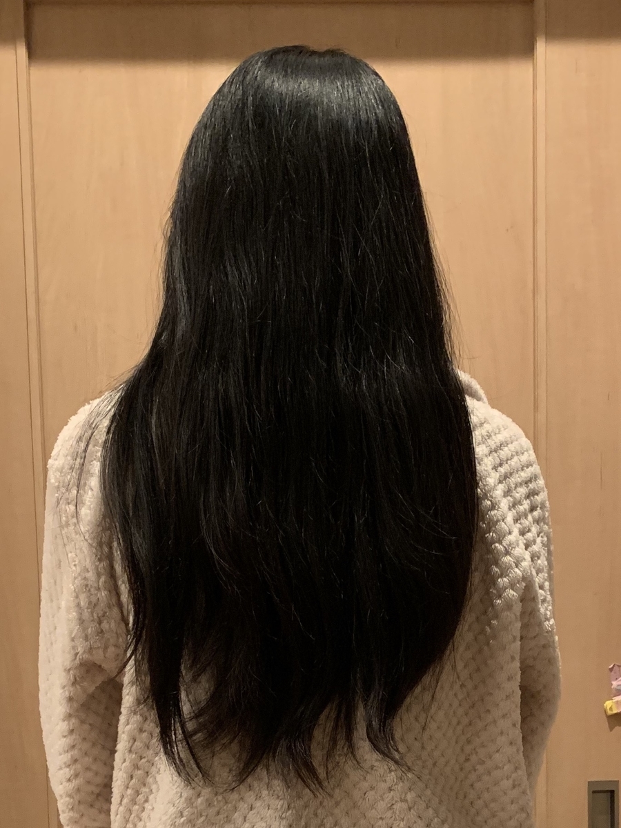 f:id:kirakirapark:20200201091222j:plain f:id:kirakirapark:20200201091222j:plain
