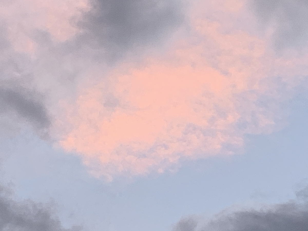 f:id:kirakirapark:20210101161002j:plain