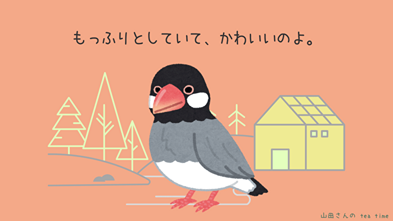 文鳥逃げる 捕獲に成功したその方法 山田さんの Tea Time