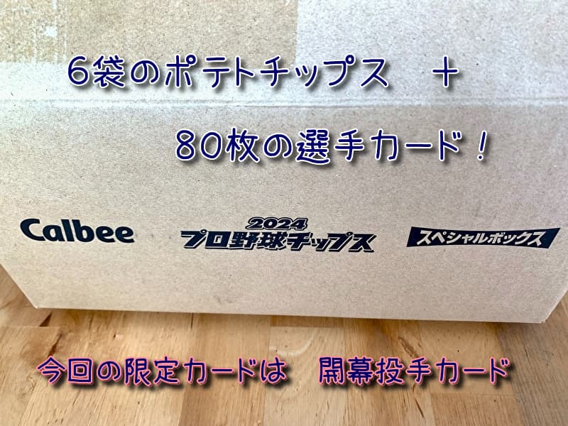 2024プロ野球チップス第二弾 スペシャルボックス購入レビュー