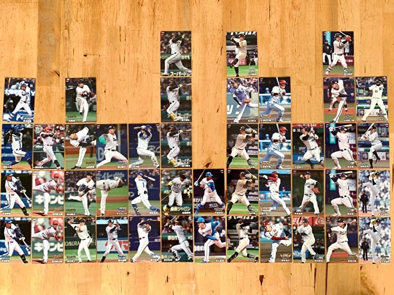 プロ野球チップスカード19枚 mintkashii_19cal2-cl-007