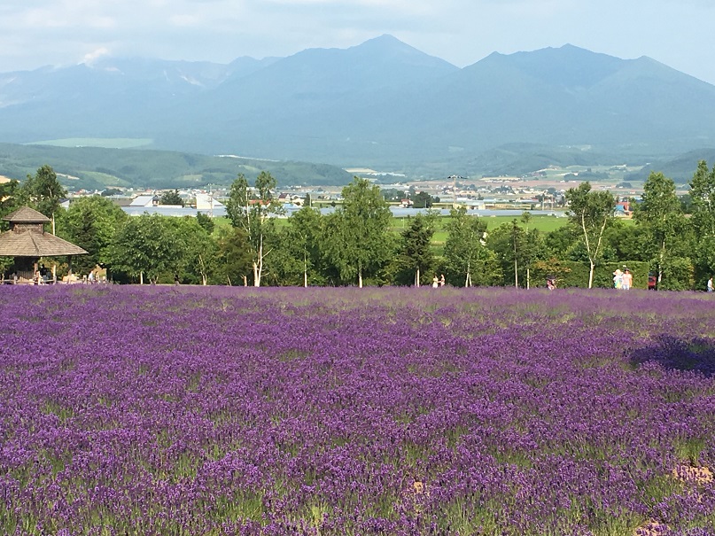 f:id:kirakunist:20190713231740j:plain