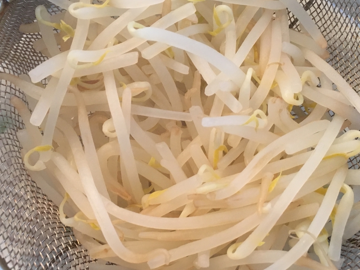 f:id:kirakunist:20191020230620j:plain