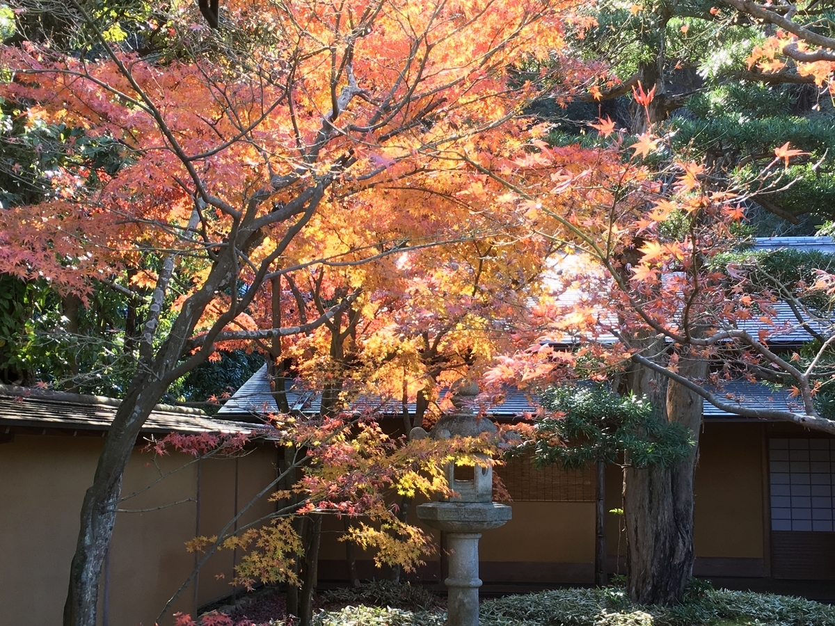 f:id:kirakunist:20191204173139j:plain