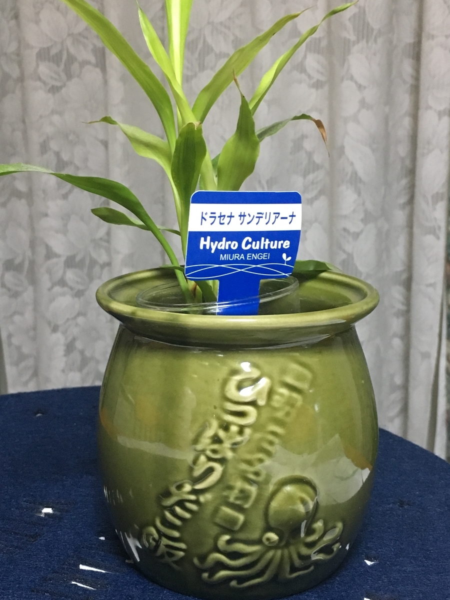 f:id:kirakunist:20191209011215j:plain