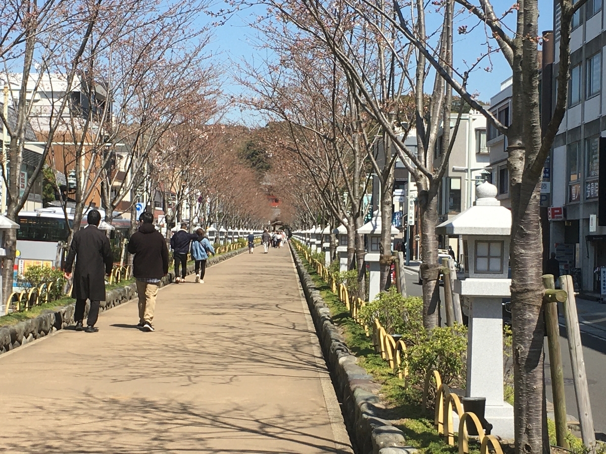 f:id:kirakunist:20200326003542j:plain