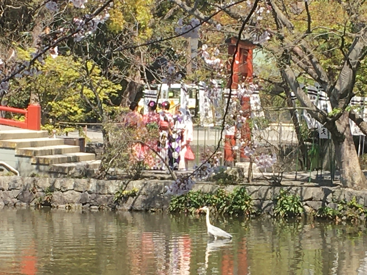 f:id:kirakunist:20200326003847j:plain