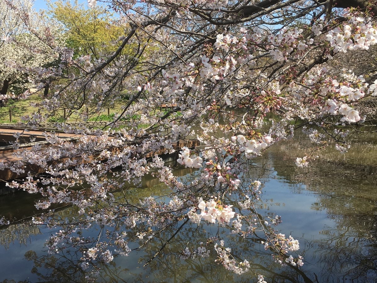 f:id:kirakunist:20200326003953j:plain