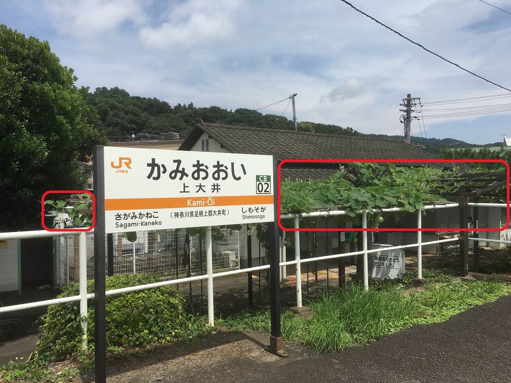 f:id:kirakunist:20200723003957j:plain f:id:kirakunist:20200723003957j:plain