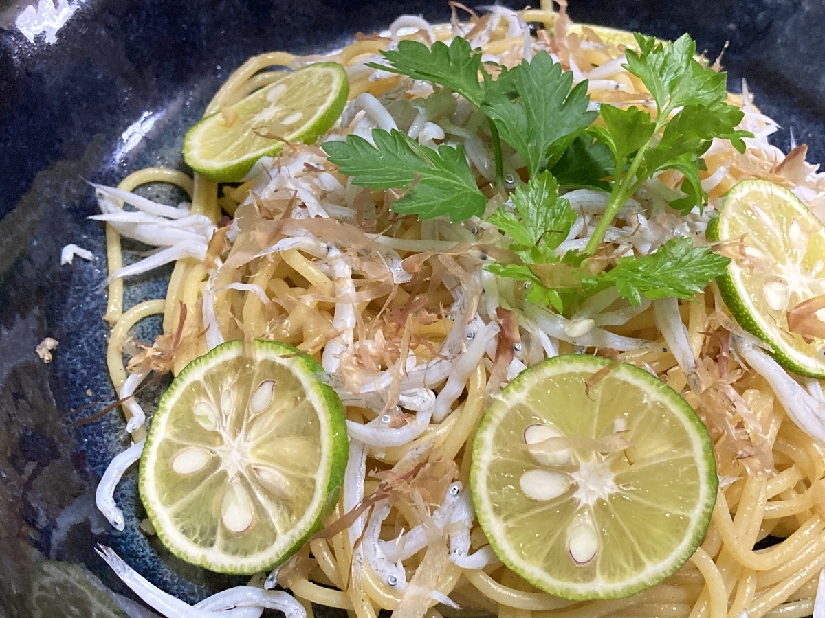 f:id:kirakunist:20201028005147j:plain