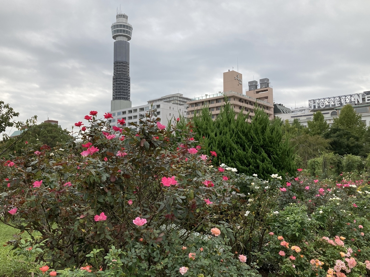 f:id:kirakunist:20201103014322j:plain