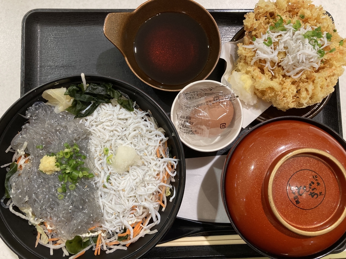 f:id:kirakunist:20201208225423j:plain