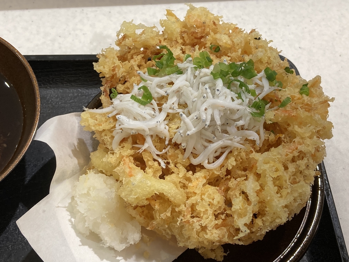 f:id:kirakunist:20201208225538j:plain