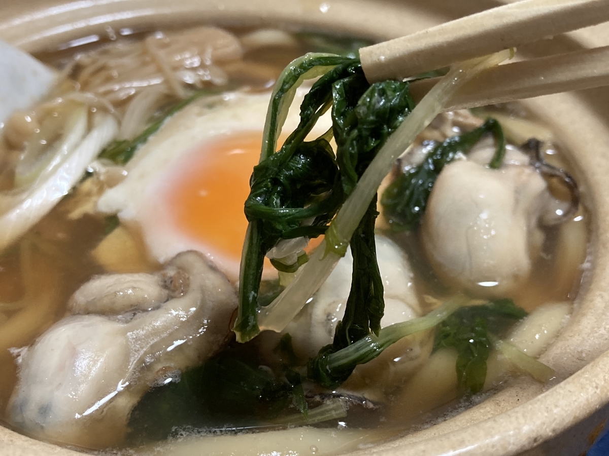 f:id:kirakunist:20210113002425j:plain